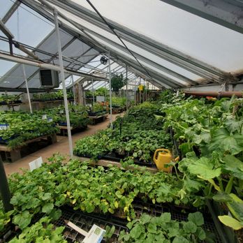 City Floral - Vegetables - Nurseries & Gardening Near Me - Denver, Colorado City Floral - Vegetables - Nurseries & Gardening Near Me - Denver, Colorado