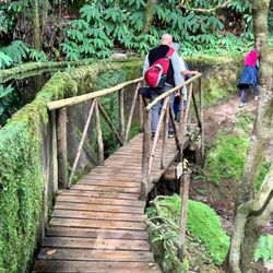 Fred The Guide - A great hike in the lush rainforest of São Miguel Island, Azores