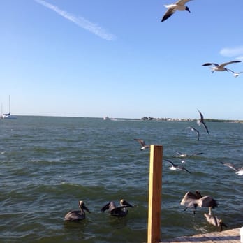 Sundowners - View from our table. - Seafood Near Me - Key Largo, Florida