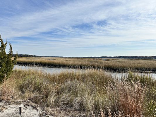 Pleasure House Point Natural Area by null