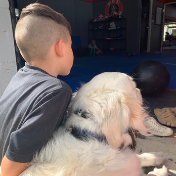 Golden Meadows Retrievers - Helping his boy relax - Pet Training Near Me - Moorpark, California Golden Meadows Retrievers - Helping his boy relax - Pet Training Near Me - Moorpark, California