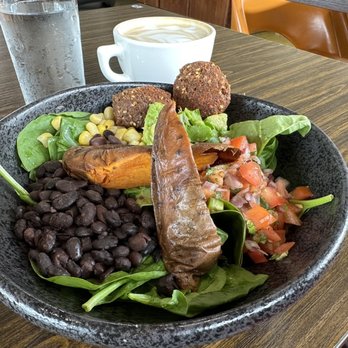 iJava Cafe - Vegan Bowl with falafels - Breakfast & Brunch Near Me - San Jose, California iJava Cafe - Vegan Bowl with falafels - Breakfast & Brunch Near Me - San Jose, California