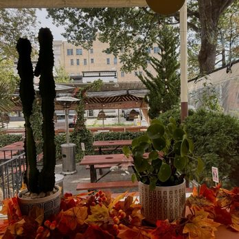 Lulu’s Winegarden - Wine Bars Near Me - Washington, DC, District of Columbia