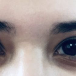 BrowGame Miami - Brows/lash lift