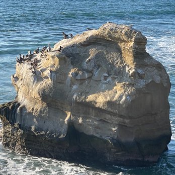 Bird Shit Rock - Local Flavor Near Me - San Diego, California Bird Shit Rock - Local Flavor Near Me - San Diego, California