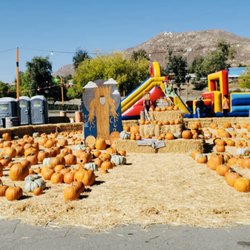 Moreno Valley Pumpkin Patch - Pumpkins for sale