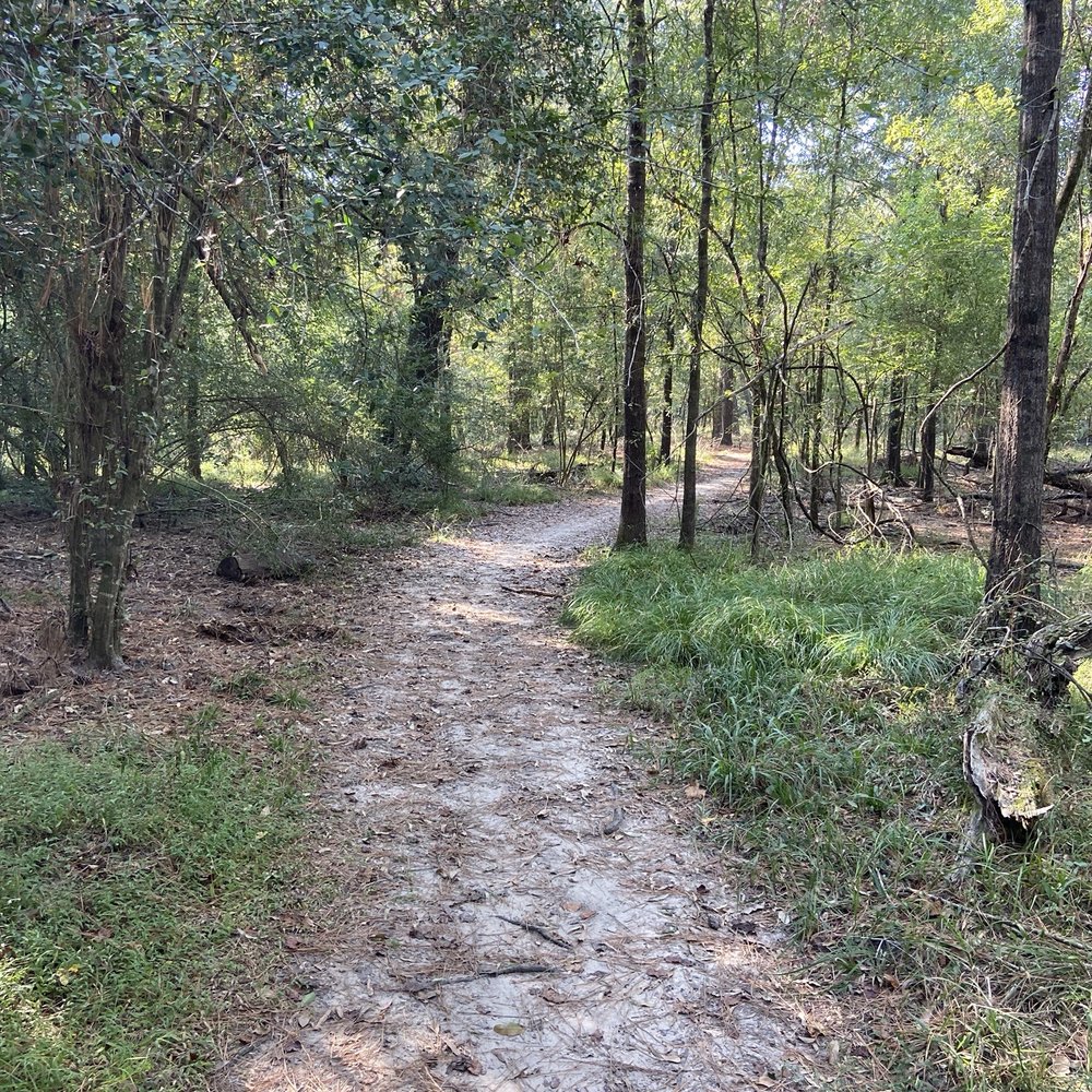 Spring Creek Greenway Nature Center - Wooded trail. - Parks Near Me - Spring, Texas Spring Creek Greenway Nature Center - Wooded trail. - Parks Near Me - Spring, Texas