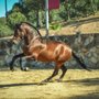 Photo of Rancho Tecate