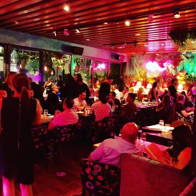 Mandrake Miami by null