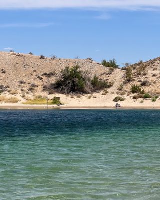 Cottonwood Cove Resort & Marina by null