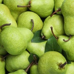 Miller's Orchard