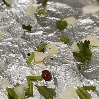 Mr. Taco - a ladybug on foil - Mexican Near Me - Fremont, California