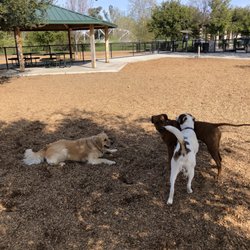 Cubby's Dog Park At Bernal