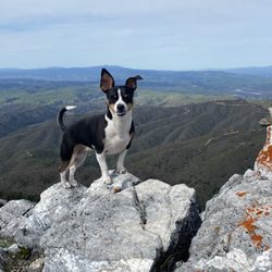 Salinas Animal Shelter
