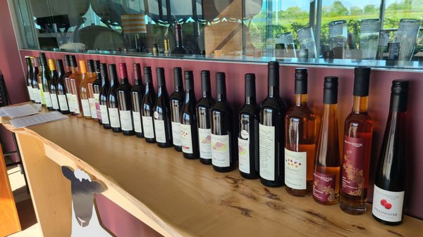 Southbrook Organic Vineyards by null