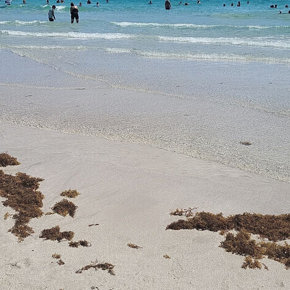 Miami Beach - Beaches Near Me - Miami Beach, Florida Miami Beach - Beaches Near Me - Miami Beach, Florida