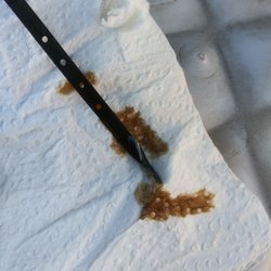 Mike's Auto & Truck Service - New oil change with contaminated old oil that wasn't drained out properly.
