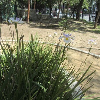 Highland Camrose Park - Dog Parks Near Me - Los Angeles, California