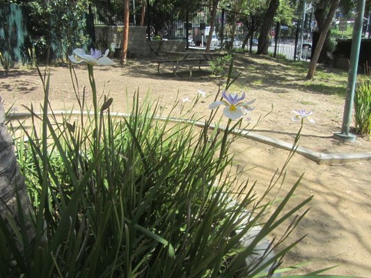 Highland Camrose Park by null