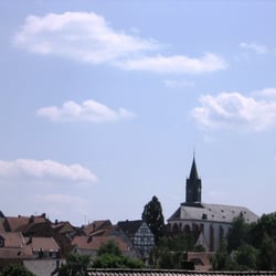 Stadtkirche Treysa - Stadtkirche Treysa