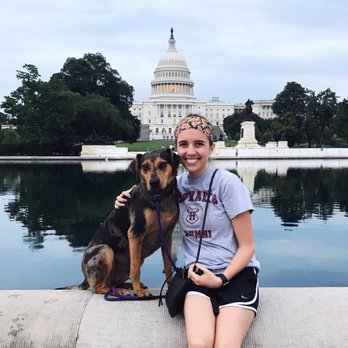 DC Dog Wizard - Pet Training Near Me - Washington, DC, District of Columbia DC Dog Wizard - Pet Training Near Me - Washington, DC, District of Columbia