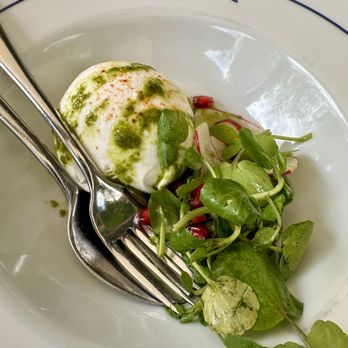 The Summerhouse - Burrata - British Near Me - London, XGL The Summerhouse - Burrata - British Near Me - London, XGL