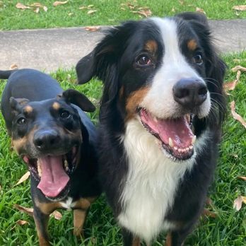 Tradewinds Pet Suites - Pet Sitting Near Me - Waianae, Hawaii Tradewinds Pet Suites - Pet Sitting Near Me - Waianae, Hawaii