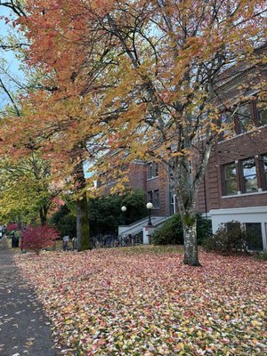 Oregon State University by null