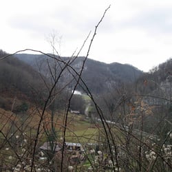 Briar Rose Farm - View from along the walk down the driveway.