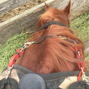 RICOCHET RIDGE RANCH - 153 Photos & 163 Reviews - 24201 N Hwy 1, Fort ...