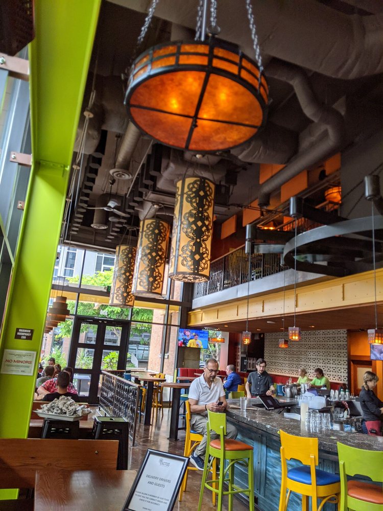 Cactus Restaurants - South Lake Union