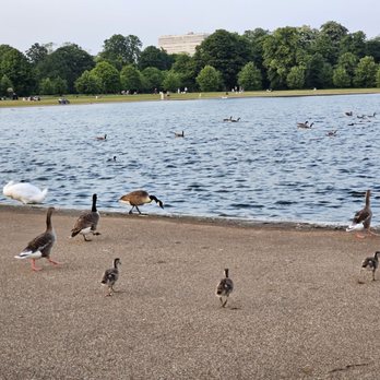 Kensington Gardens - Parks Near Me - London, XGL Kensington Gardens - Parks Near Me - London, XGL