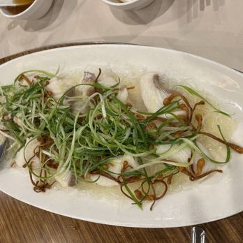 Koi Palace - Fish kew 5/5 - Dim Sum Near Me - Milpitas, California Koi Palace - Fish kew 5/5 - Dim Sum Near Me - Milpitas, California