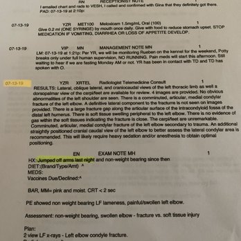 Valley Inn For Pets - This is the incident report we were given. It says on 7/13/19 that he jumped off someone's arms the night of 7/12/19 - Pet Groomers Near Me - Hadley, Massachusetts Valley Inn For Pets - This is the incident report we were given. It says on 7/13/19 that he jumped off someone's arms the night of 7/12/19 - Pet Groomers Near Me - Hadley, Massachusetts