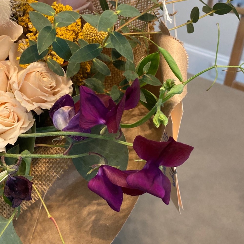 Beautiful flowers Beautiful flowers