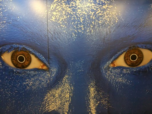 Briar Street Theatre by null