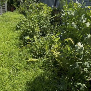 R. Duran's Landscaping - Before! - Landscaping Near Me - Wauconda, Illinois