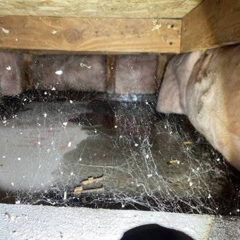 Castillo Works Plumbing - water leaking under and behind the water heater - Plumbing Near Me