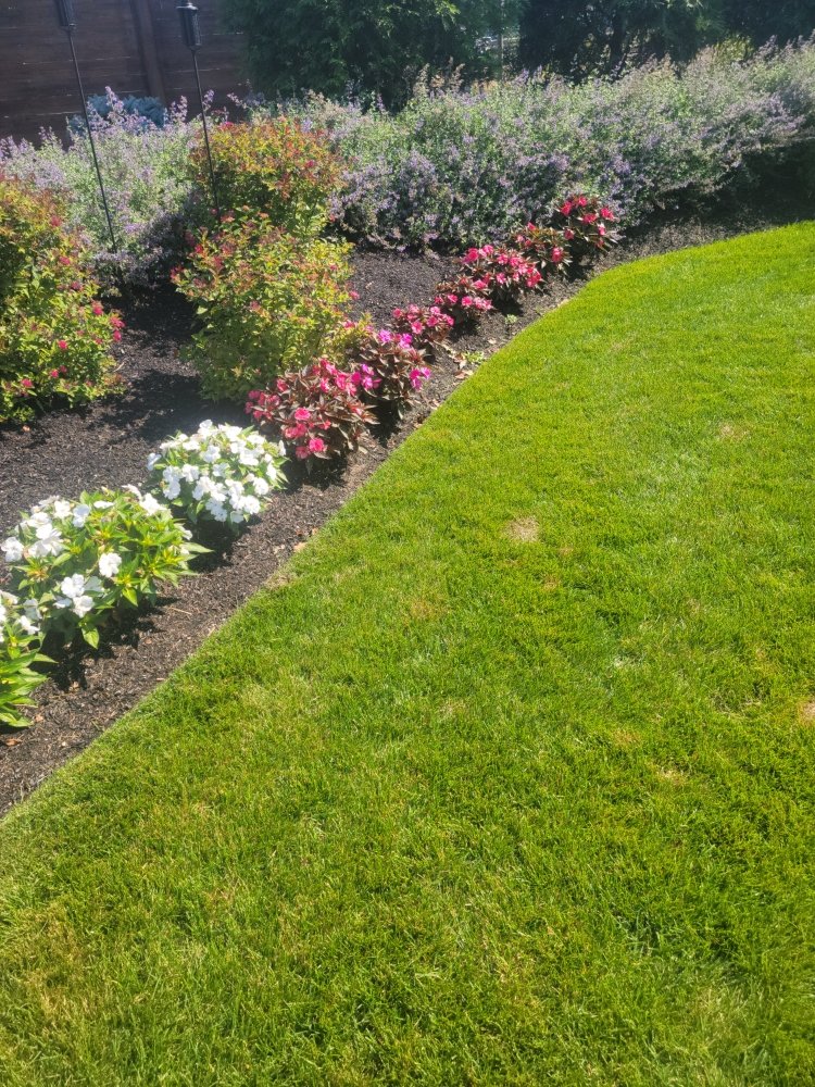 ALEXIS LANDSCAPING 12 Photos Revere, Massachusetts Landscaping