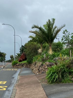 Waiheke Island by null