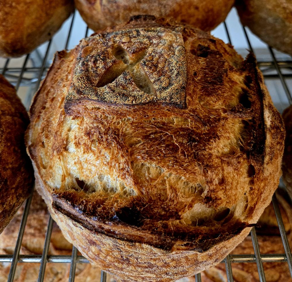 Food from Rise and Pies