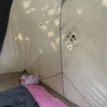 Bass Pro Shops - Blood stains or mud or something gross. Smelled horrible - Outdoor Gear Near Me - Mesa, Arizona