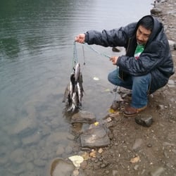 Faraday Lake - 4 of us caught these in less than one hour.