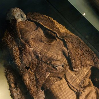 Nationalmuseet - Bog mummy - Museums Near Me - Copenhagen, 84 Nationalmuseet - Bog mummy - Museums Near Me - Copenhagen, 84