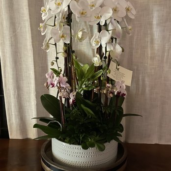 Beverly Blossoms - Florists Near Me - Los Angeles, California