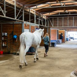 Triple Bar Stables