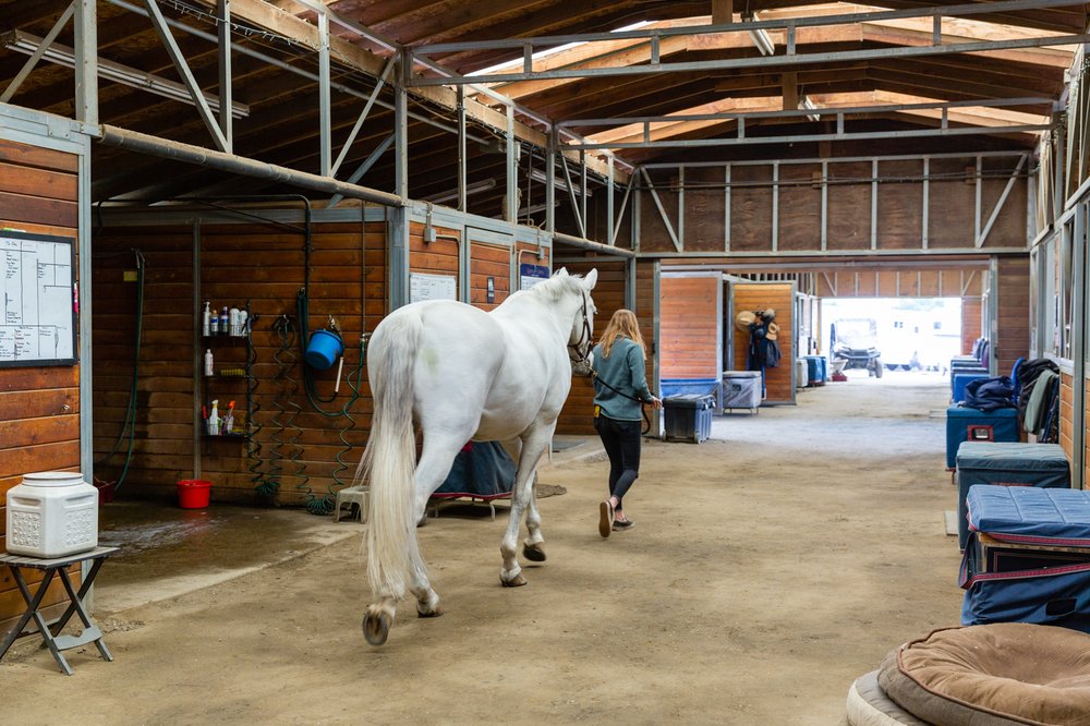 Triple Bar Stables Logo