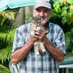 The Cat Network - A foster dad