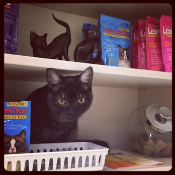 Blue Sky Veterinary Clinic - Obsidian goes to the vet... Didn't take him long to find the treats. - Veterinarians Near Me - Bend, Oregon