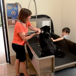 Elephant Butte Lake RV Resort - Happy at the dogwash